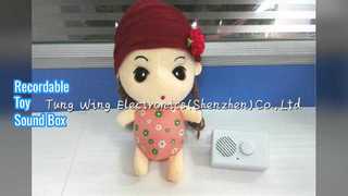 Kotak Suara yang Dapat Direkam Untuk Mainan Mewah