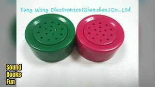 Modul Suara Buku Anak Mainan Edukasi